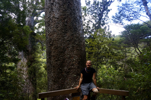 Me and a Kauri Tree.