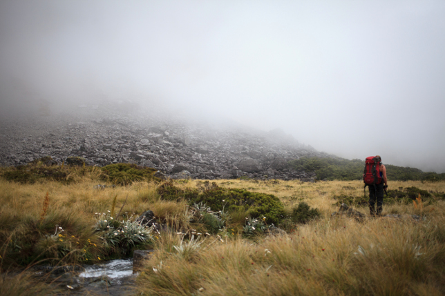 Fog Nelson Lakes Nationalpark