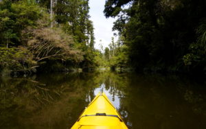 kayaking lagoon