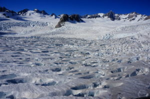 ice fox glacier