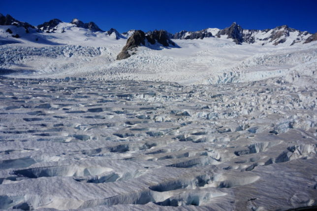 ice Fox Glacier