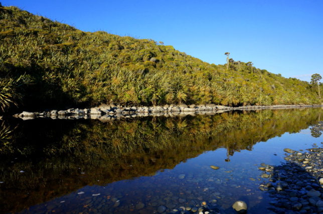 Gillespies Lagoon reflection