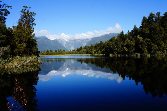 lake matheson reflection