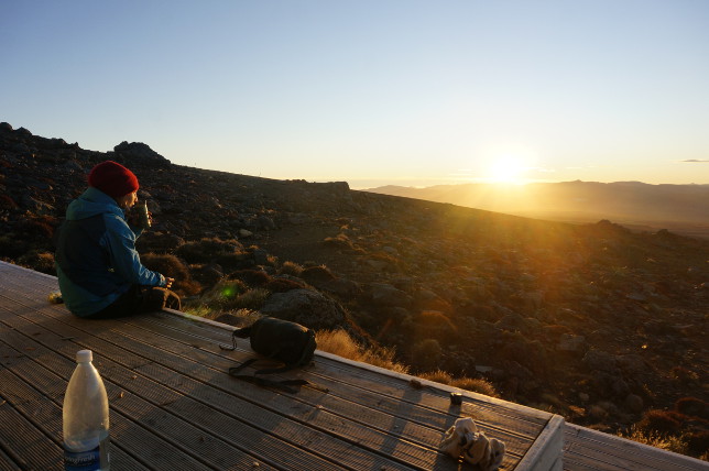 sunrise tea