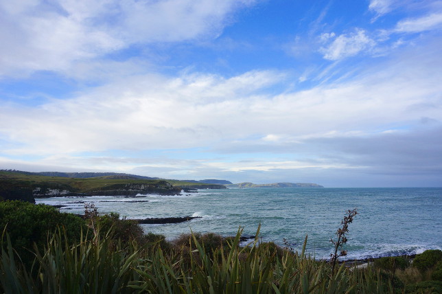 Te Rere Scientific Reserve