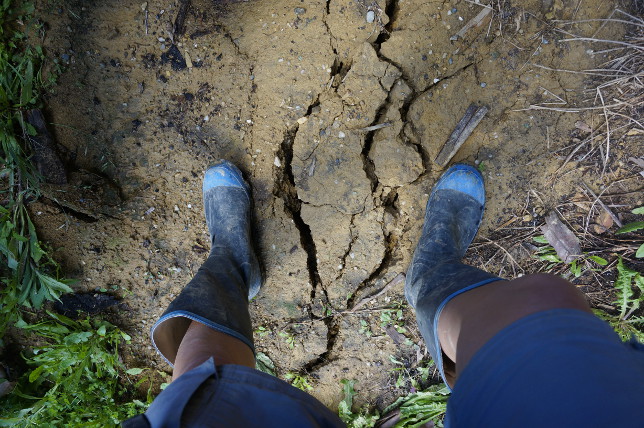 cracks after earthquake