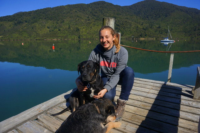 waiting for watertaxi with dogs