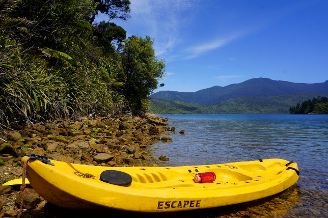 kayaking in marlborough sounds