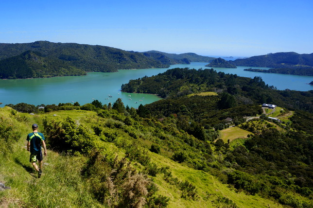 View from St. Pauls Rock near Whangaroa.