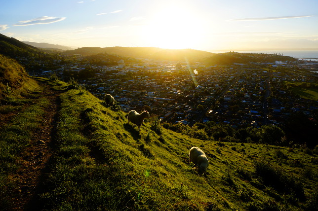 Centre of New Zealand, Nelson.