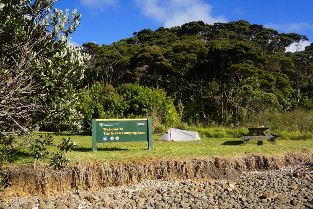 Welcome to the Green Campsite.