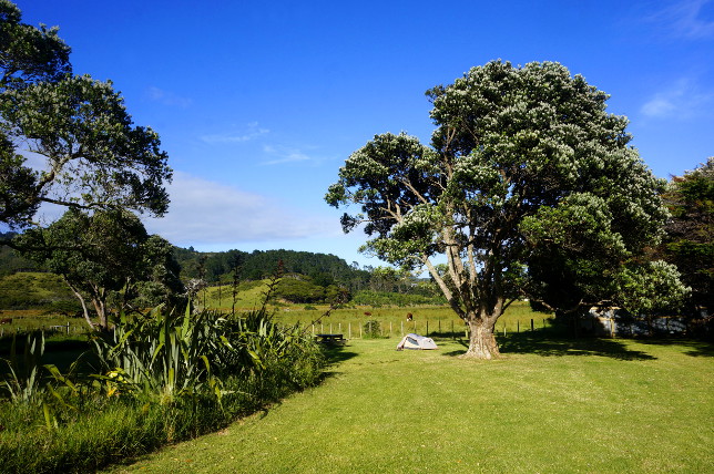 Medlands Beach camping spot.