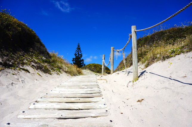 Pathway at Medlands Beach.