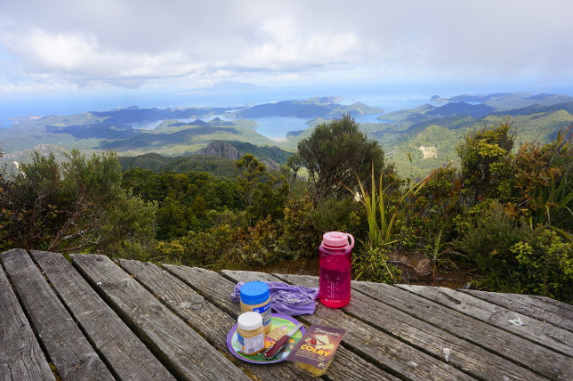 Viewing platform at Mount Hobson.