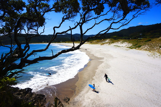 View over Medlands Beach.