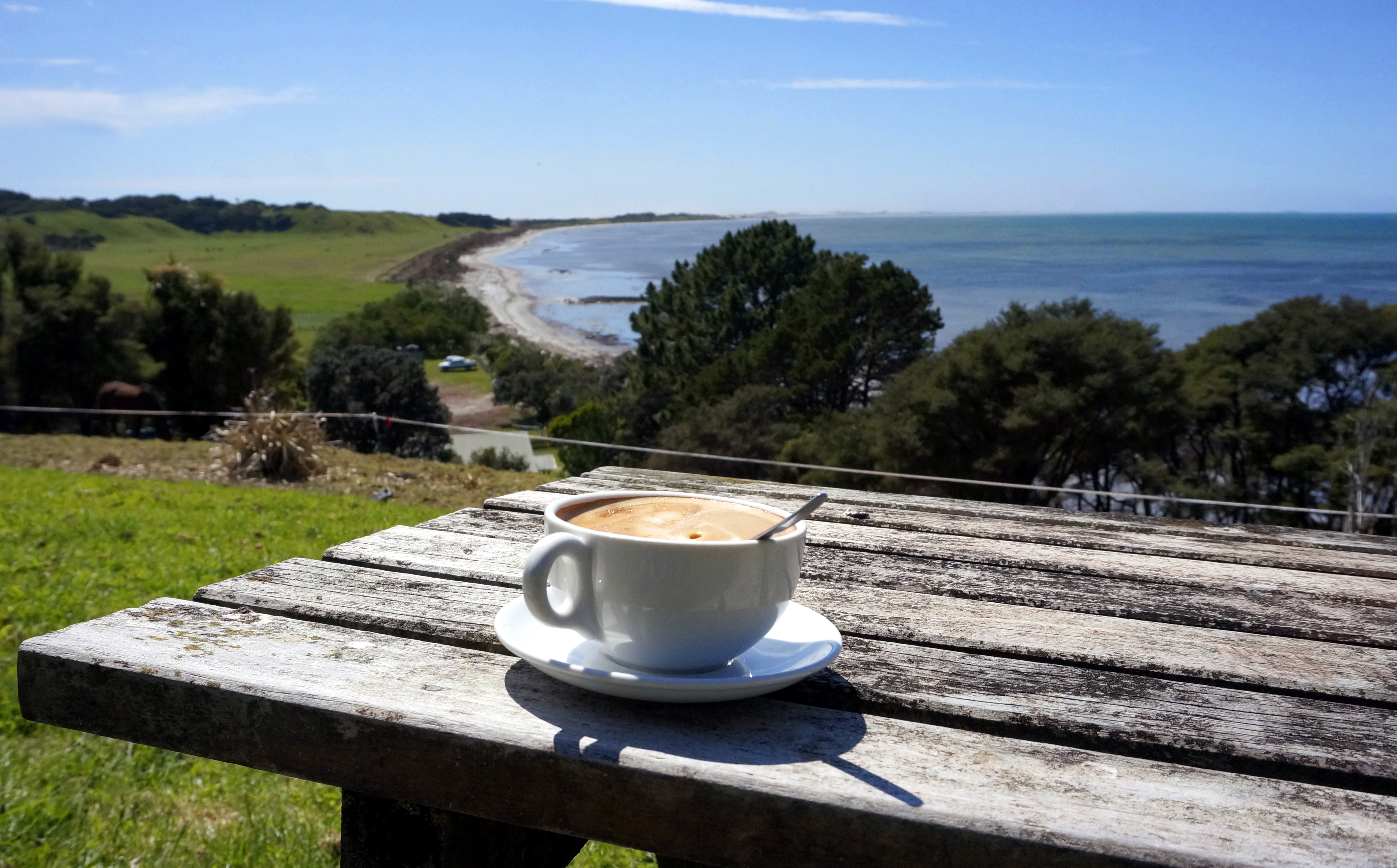 farewell spit coffee farewell spit coffee