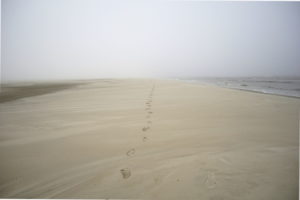 long walk on grey misty beach